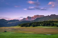 Beautiful local photo